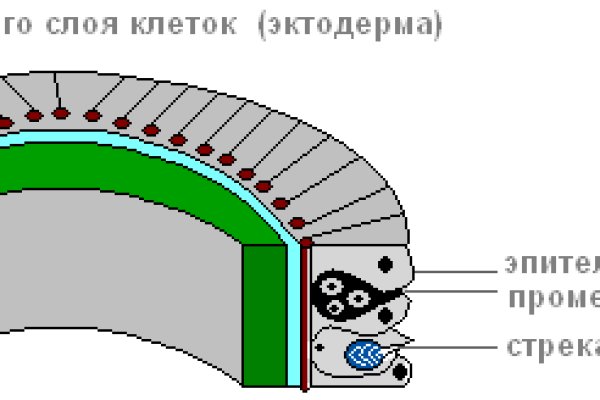 Блэкспрут что это bs2web top