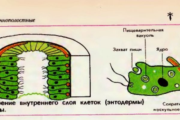 Блэкспрут что это blacksprut adress com