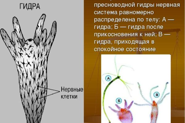 Логин пароль blacksprut blacksprut adress com